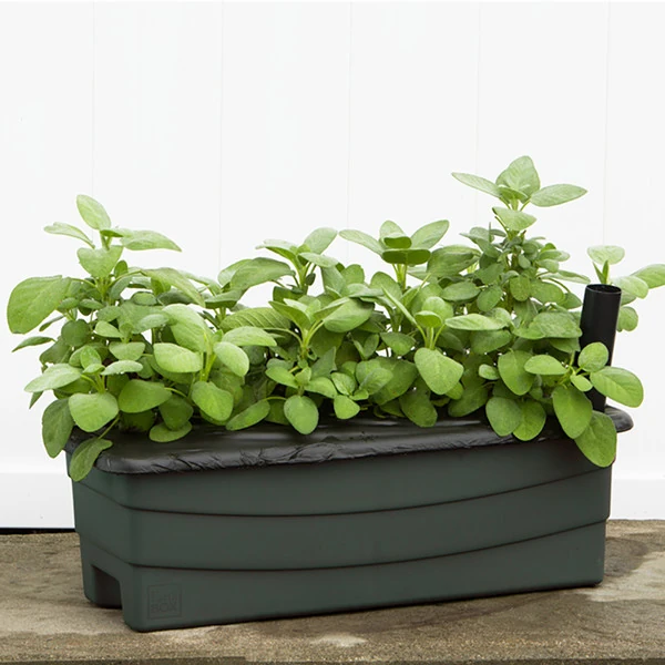EarthBox Junior Garden Kit - Image 4
