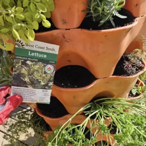 Planting_GT