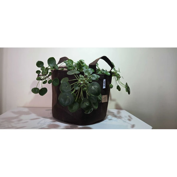 Root Pouch 7 Gallon - Image 2